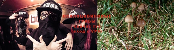 скорость Липки