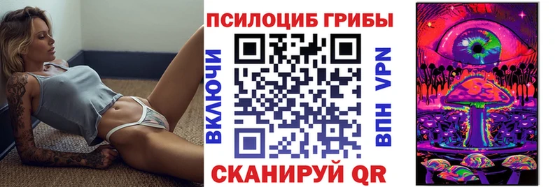 где продают наркотики  Альметьевск  Псилоцибиновые грибы Psilocybe 